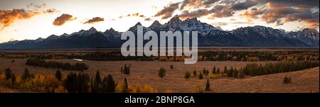 WY04355-00....WYOMING - couleur d'automne le long de la rivière Snake au coucher du soleil vue depuis la participation de Teton point dans le parc national de Grand Teton. Banque D'Images