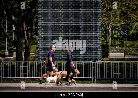 Chicago, États-Unis. 15 mai 2020. Un couple de chiens de randonnée, dont un porte un masque facial protecteur, passe devant le parc du Millénaire le vendredi 15 mai 2020 à Chicago, il. (Photo de Christopher Dilts/Sipa USA) crédit: SIPA USA/Alay Live News Banque D'Images