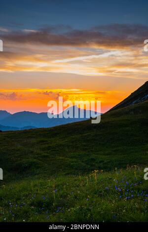 Sunset, Hoher IFEN, 2230m, Kleinwalsertal, Vorarlberg, Alpes Allgäu, Autriche, Europe Banque D'Images