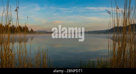 Hoppensee, Ostallgäu, Allgäu, Swabia, Bavière, Allemagne, Europe Banque D'Images