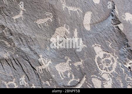 Pétroglyphes indiens, Newspaper Rock State Park, Utah, États-Unis Banque D'Images