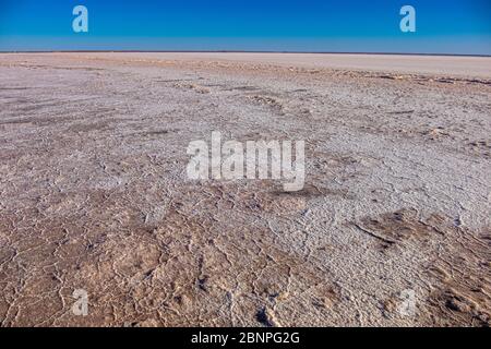 Coucher de soleil / lever du soleil à des cruches de sel blanc sur la boue sur les rives du grand lac Kati Thanda Eyre, zone aride, dans l'Outback, dans le nord de l'Australie méridionale Banque D'Images