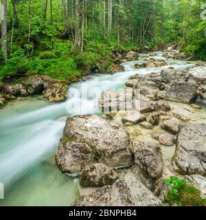 Ruisseau de montagne Ramsauer Ache dans la forêt enchantée, Parc National de Berchtesgaden, Ramsau, Berchtesgadener Land, Haute-Bavière, Bavière, Allemagne Banque D'Images