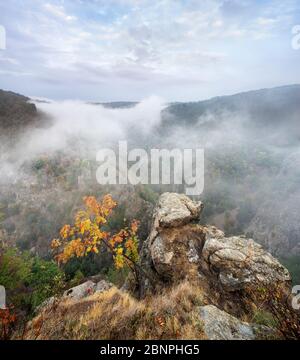 Allemagne, Saxe-Anhalt, Thale, Harz, vue de la Roßtrappe en automne, brume matinale dans le Bodetal Banque D'Images