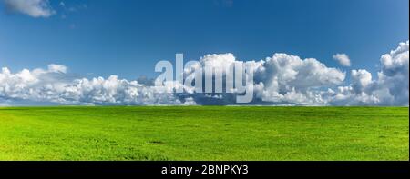 Ciel bleu avec nuages blancs sur prairie verte Banque D'Images