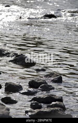 Pierres dans le lit de la rivière Banque D'Images