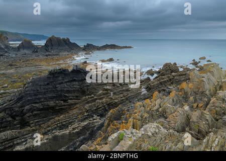 Côte rocheuse, Hartland Quay, Bideford, North Devon, Devon, Angleterre du Sud-Ouest, Angleterre, Royaume-Uni, Europe Banque D'Images