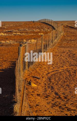 Admirez une partie de la célèbre Fence de dingo ou de la Fence de chien à Coober Pedy, Australie méridionale, Outback. Banque D'Images