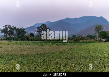 Paysage de champ de riz au coucher du soleil dans la ville de Pai, dans le nord de la Thaïlande Banque D'Images