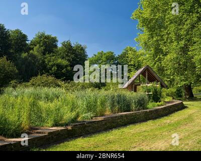 Europe, Allemagne, Hesse, Marburg, jardin botanique de l'Université de Philipps, Keltengarten Banque D'Images