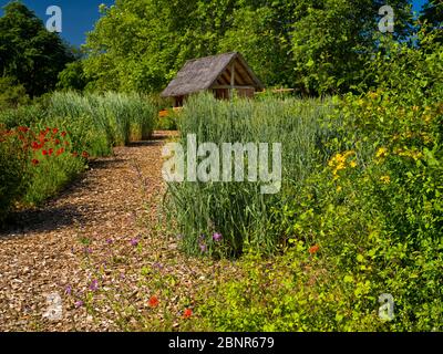 Europe, Allemagne, Hesse, Marburg, jardin botanique de l'Université de Philipps, Keltengarten Banque D'Images