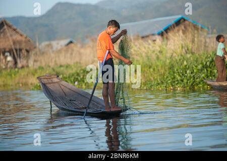 Lac Inle Myanmar - 2 novembre 2013; l'homme se tient dans une longue chauve-souris traditionnelle avec un pôle dans le canal entre les mauvaises herbes aquatiques vertes soulevant son filet de pêche, Banque D'Images