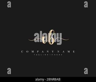 VB vecteur initial du logo d'écriture manuscrite. Illustration de Vecteur