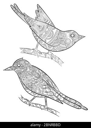 Pages de coloriage pour adultes. Petits oiseaux sauvages pour avec illustration vectorielle de motif sur le corps oiseau assis sur la branche Illustration de Vecteur