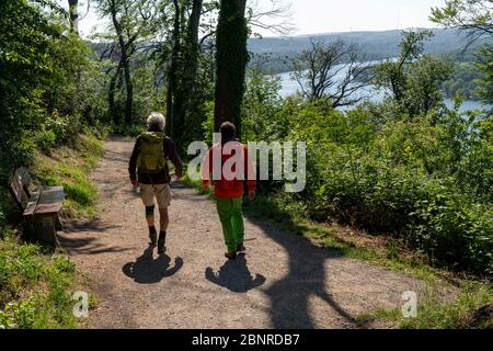 Randonnée sur le Baldeney Steig, un sentier de randonnée autour du lac Baldeney à Essen, un réservoir de la Ruhr, à travers les hauteurs de la Ruhr, Essen, NRW, Allemagne Banque D'Images