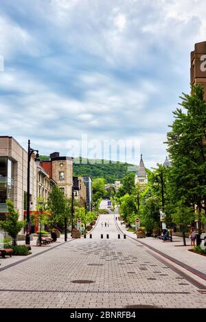 Montréal, Canada - juin 2018 : rue McTavish lors d'une journée d'été à Montréal, Québec, Canada. Banque D'Images