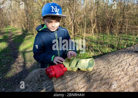 Garçon pose de la mousse dans un emballage d'oeufs, un jeu de forêt pour trouver des feuilles, fougères, mousses, plumes et petites branches. Idée de jeu dans les temps de Corona. Banque D'Images