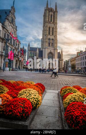 Europe, Belgique, vieille ville, Gand, ville, Sint-Baafsplein, Cathédrale Saint-Bavon, Sint-Baafskathedraal, Bavo Banque D'Images