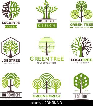 Logotypes d'arbre. Symboles vert éco bois arbres stylisés plantes vecteur logo Illustration de Vecteur