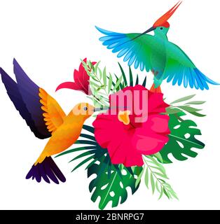 Plantes d'oiseaux tropicaux. Arrière-plan exotique coloré avec perroquets et colibris assis sur des feuilles et des fleurs image vectorielle Illustration de Vecteur