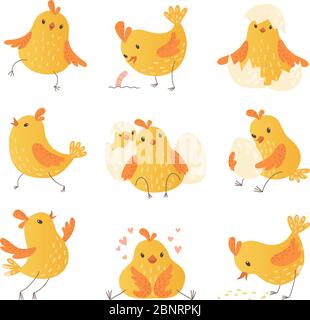 Poulet à dessin animé. Oeuf mignon jaune petite ferme oiseaux drôle poussin vecteur caractères collection Illustration de Vecteur