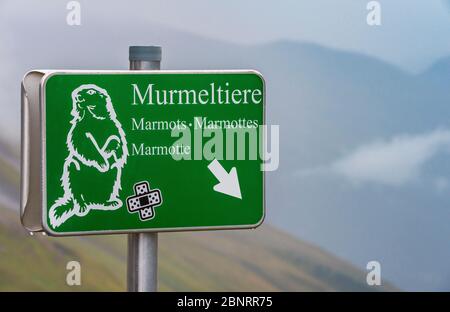 Panneaux indiquant les marmottes sur la route alpine de Grossglockner, Autriche Banque D'Images