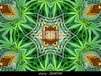 Marijuana Mandala - superbe design moderne de Mandala. Idéal pour les activités de méditation et de loisirs et juste agréable à regarder pour démarrer. Banque D'Images