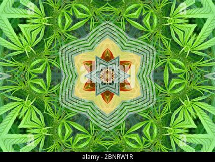 Marijuana Mandala Banque D'Images