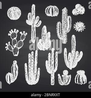 Plantes cactus vectorielles sur tableau noir Illustration de Vecteur