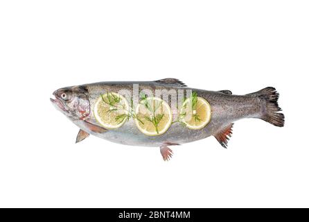 Voir ci-dessus l'ensemble d'un gros poisson saumon isolé sur fond blanc Banque D'Images