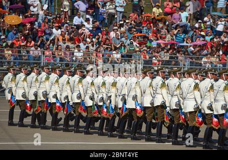 Mars passé par le Carabinero au défilé militaire annuel dans le cadre des commémorations Fiestas Patrias à Santiago, Chili. Banque D'Images