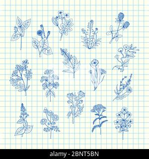 Illustration de fond de la feuille de cellules bleue représentant un vecteur d'herbes médicales dessinées à la main Illustration de Vecteur