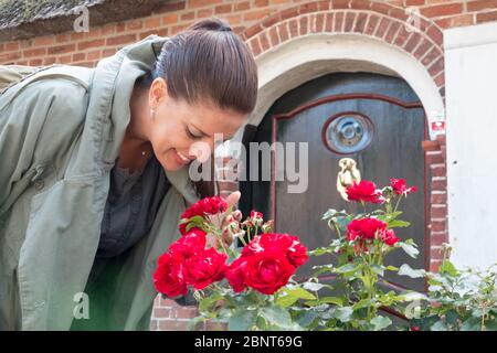 Une jeune femme sent des roses d'une rosier dans un village danois. Concept de voyage Banque D'Images