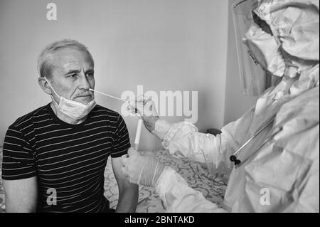 Photo rognée en noir et blanc de la visite du médecin à la maison. Infirmière qui porte l'analyse du coronavirus avec un écouvillon médical jusqu'au nez de l'homme âgé. Tube à essai pour prélever un échantillon de patient NP OP. Banque D'Images