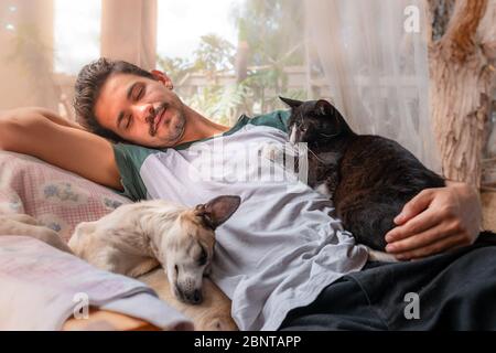 un jeune homme dort à côté d'un chien et d'un chat noir dans un fauteuil sous une moustiquaire. Banque D'Images