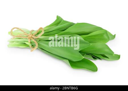 Légumes Ramson botte isolés sur fond blanc avec chemin de découpe et profondeur de champ complète. Banque D'Images