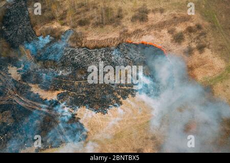 Vue aérienne. Brûlures d'herbe sèche par le printemps pendant la sécheresse temps chaud. Feu de brousse et fumée dans Meadow Field. Le feu ouvert sauvage détruit l'herbe. Nature en danger. Banque D'Images