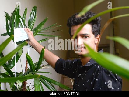 Homme mains montrant le masque chirurgical sur les plantes vertes, homme tenant le masque chirurgical et donnant le sourire gentil. Banque D'Images