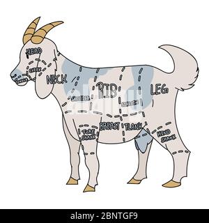 Jolie ferme française de chèvre coupe graphique vecteur clipart. Cuisine de ferme campagnard à la main, chic et tirade. Illustration du bétail animal de ferme à chevon Illustration de Vecteur