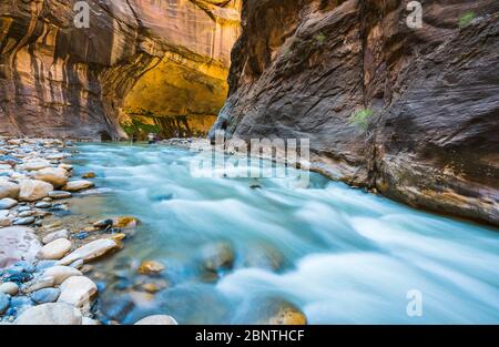 Sion avec étroite rivière vergin dans Zion National Park, Utah, USA. Banque D'Images