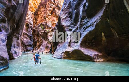 Sion avec étroite rivière vergin dans Zion National Park, Utah, USA. Banque D'Images