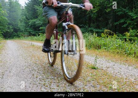 Homme faisant du vélo sur Rob Brook Road à Albany, New Hampshire, États-Unis. Cette route de terre suit des parties de l'ancien chemin de fer Bartlett et Albany qui était une rade forestière Banque D'Images