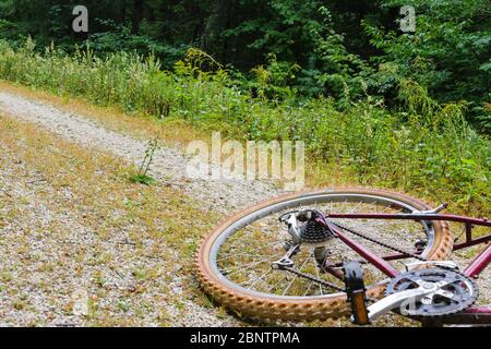 Homme faisant du vélo sur Rob Brook Road à Albany, New Hampshire, États-Unis. Cette route de terre suit des parties de l'ancien chemin de fer Bartlett et Albany qui était une rade forestière Banque D'Images