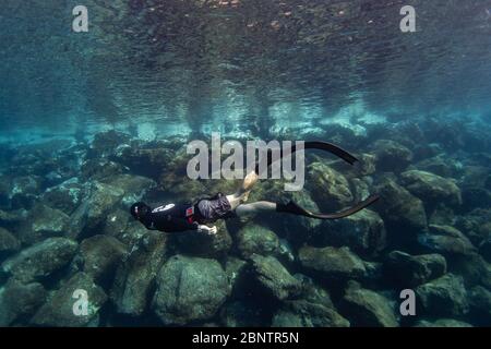 Plongée libre sous-marine dans les eaux peu profondes de Ténérife, îles Canaries, Espagne. Banque D'Images