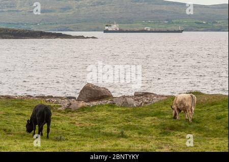 Bantry Bay, West Cork, Irlande. 16 mai 2020. LE pétrolier AMÉRICAIN Bonita est actuellement amarré à Bantry Bay, attendant de décharger sa cargaison de brut au terminal pétrolier de Whiddy Island. La pandémie de Covid-19 a provoqué une baisse mondiale de la demande de pétrole, rendant ainsi le stockage difficile à trouver. Crédit : AG News/Alay Live News Banque D'Images