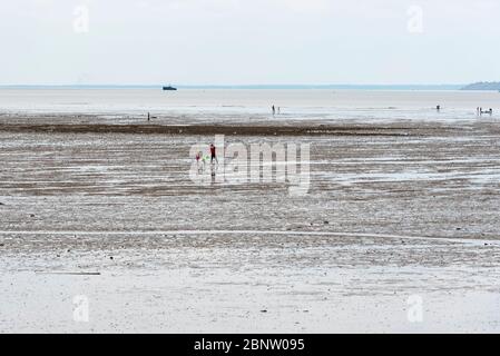 Southend on Sea, Essex, Royaume-Uni. 16 mai 2020. Avec la réduction des limites du confinement du Royaume-Uni pour la pandémie du coronavirus COVID-19, de nombreuses personnes se sont dirigées vers la populaire ville côtière. À marée basse, certains visiteurs ont pris l'occasion de marcher pour prendre de sérieux distances sociales Banque D'Images