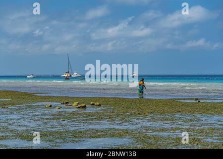 ZANZIBAR, TANZANIE - 10 février 2020: Femmes avec des vêtements colorés pêchant dans un peu profond. Ils chassent de petits poissons dans le filet. Copier l'espace f Banque D'Images