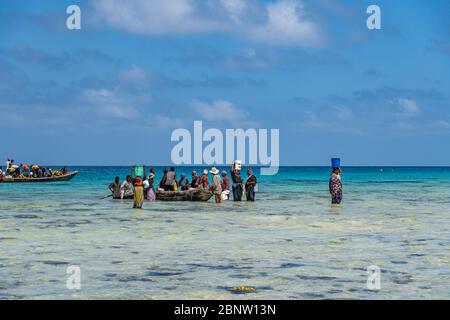 ZANZIBAR, TANZANIE - 10 février 2020: Femmes avec des vêtements colorés pêche dans le liquide peu profond. Ils chassent de petits poissons dans le filet. Copier l'espace Banque D'Images