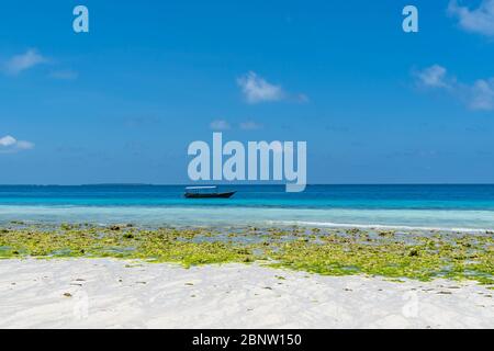 Zanzibar, Tanzanie - février 8. 2020: bateau en bois à la plage avec l'eau turquoise et l'espace de copie pour le texte Banque D'Images