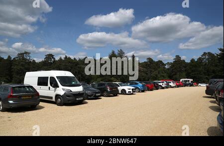 Voitures garées dans le parking du sanctuaire des cerfs de Bolderwood, dans la forêt de New Forest. Banque D'Images